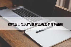 魏牌蓝山怎么样/魏牌蓝山怎么样换雨刷