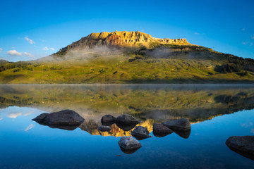 31省区市新增43例本土确诊(31省区市新增确诊14例 其中本土9例)