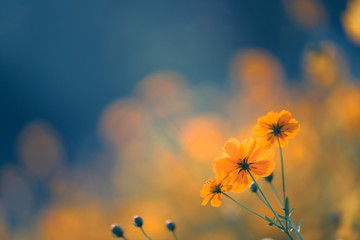 山西新增4例本土确诊病例(山西新增4例本土确诊病例是哪里的)