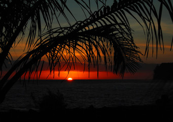 陕西新增本土确诊165例/陕西新增本土确诊病例活动轨迹