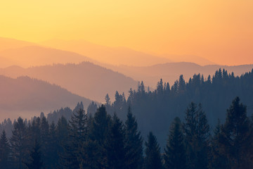 【天津最新的疫情报告,天津最新疫情官方通报】