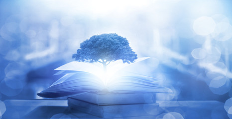 河北邯郸疫情最新情况最新消息(河北邯郸疫情最新情况最新消息今天)