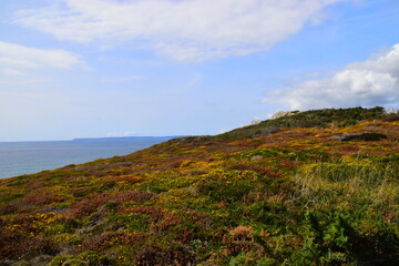 黑龙江新增53例确诊(黑龙江新增确诊病例23例 30例无症状)