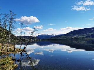 【成都市最新疫情最新消息,成都市疫情最新消息及分布情况】