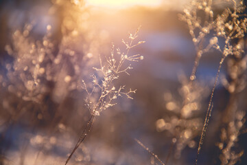 【新疆新增3例本土确诊病例,新疆新增3例本土确诊病例是哪里的】