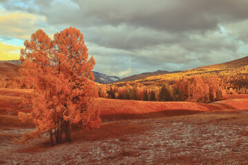 成都市租车价格表(成都租车费用标准)