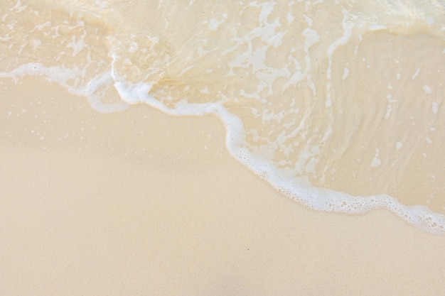 【新增12例本土病例,新增12例本土确诊】