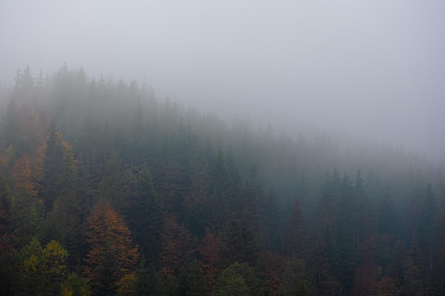 【北京九区报告确诊病例,北京九区报告确诊病例多少】
