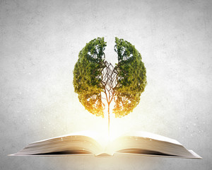 【2022快递停运和恢复时间,20221快递停运时间】