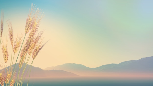 北京丰台区疫情(北京丰台区疫情发布会)