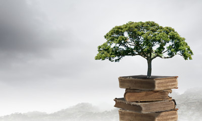 【31省新增23例确诊,31省新增确诊33】