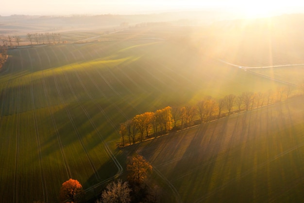 【上海发布累计感染前五位地区,上海感染者分布】