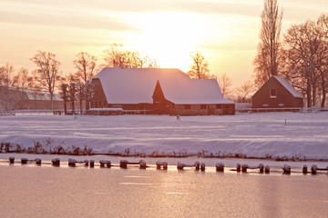 【31省本土无新增确诊,31省无新增确诊 视频】