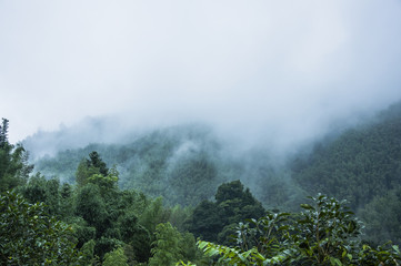 上海疫情发布会121/上海疫情发布会发言人