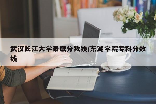 武汉长江大学录取分数线/东湖学院专科分数线