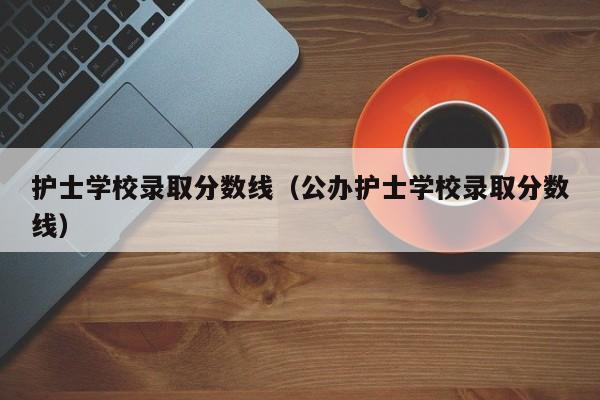 护士学校录取分数线(公办护士学校录取分数线)
